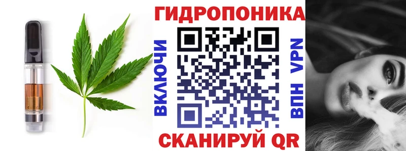 Canna-Cookies марихуана  магазин продажи наркотиков  Ясногорск 