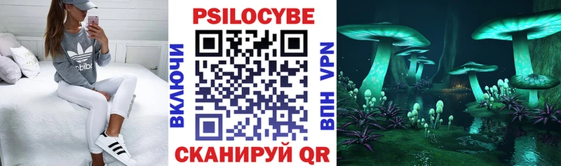 Псилоцибиновые грибы Psilocybine cubensis  закладки  Ясногорск 